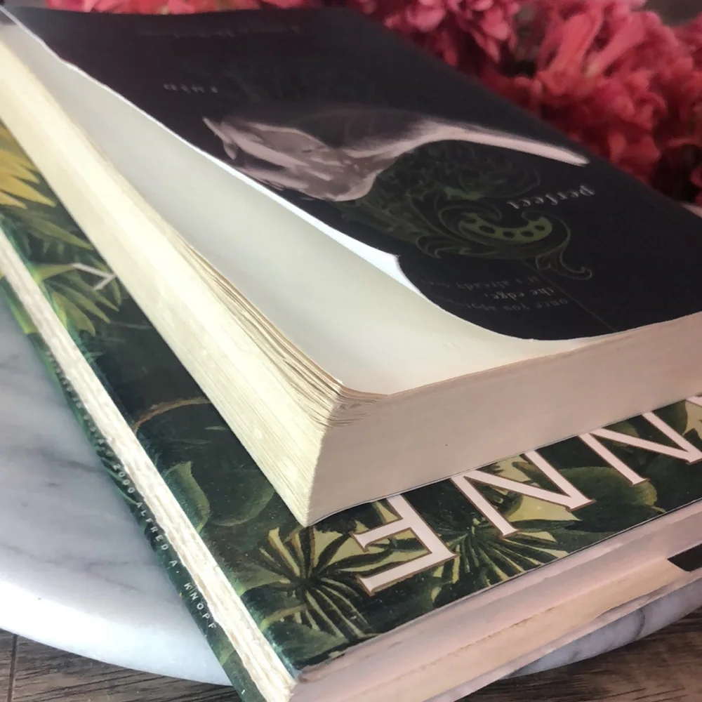 MERRICK Anne Rice & PERFECT RUIN Lauren Destefano hardcover paperback books